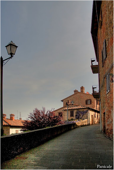http://lh5.ggpht.com/_tVQwHeJzVw4/TBXGC7bYjGI/AAAAAAAACjg/Ifyu8wFoWRw/s576/07%20Panicale%2009.jpg