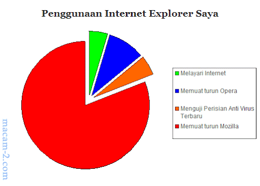 Penggunaan Internet Explorer Saya