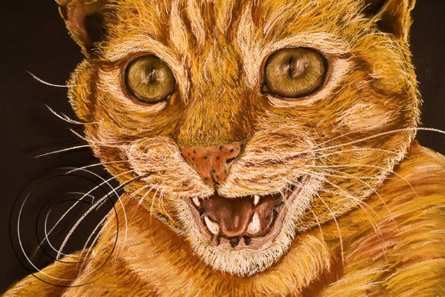 [Amarelo detalhe web[6].jpg]