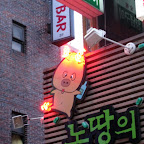 Koreans love alocholic pigs.
