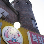 Koreans love eating pork and apparently this pig thinks it's yummy too.
