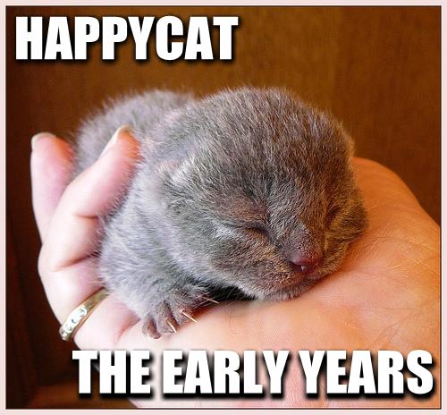HAPPYCAT THE EARLY YEARS