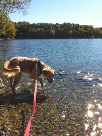 [Jamaica Pond (10)[2].jpg]