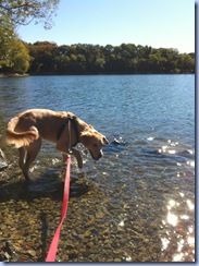 Jamaica Pond (10)