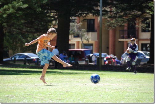 DSC_0710 DSC_0710