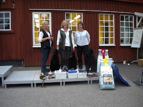 &Aring;rets uppf&ouml;dare.jpg