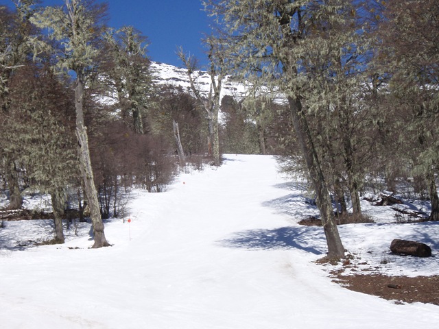 [ski0204.jpg]