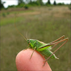 090808-0174-w.jpg