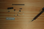 DSCF6531.JPG
