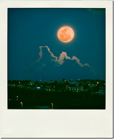 moon-pola