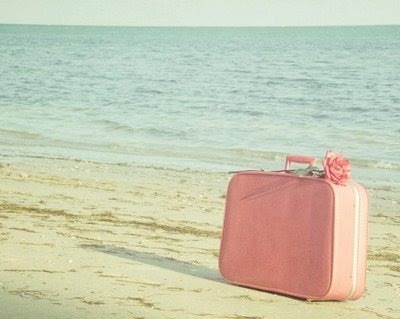 [mala de viagem pink[4].jpg]