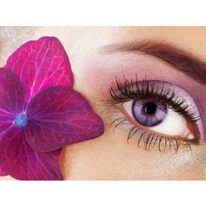 [purple eye makeup[1].jpg]
