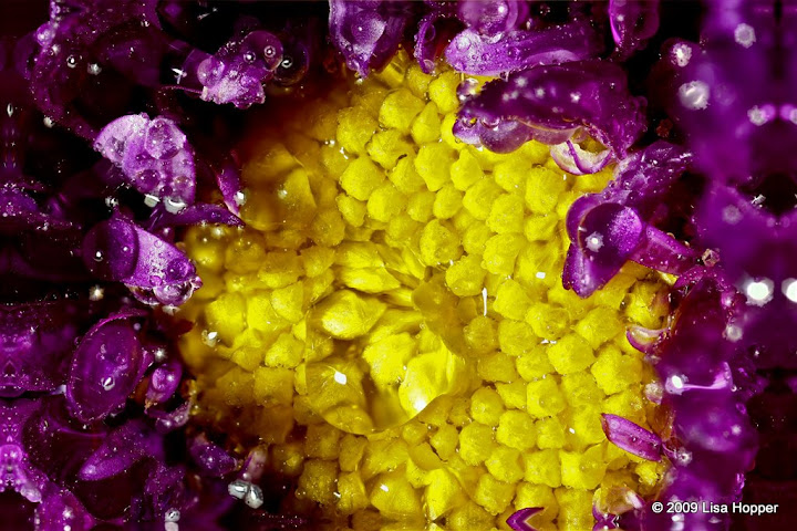 IMAGE: http://lh5.ggpht.com/_ti_aShlyB7A/Sb-MdzmKjBI/AAAAAAAACr4/tgTOpWt1ztg/s720/STACK3a.jpg