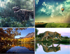 Wide Beautiful Wallpaper Wide Beautiful Wallpaper