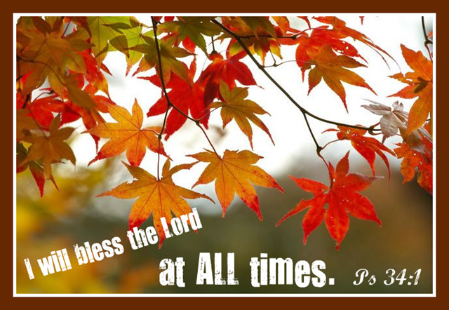[fall-leaves2[6].png]