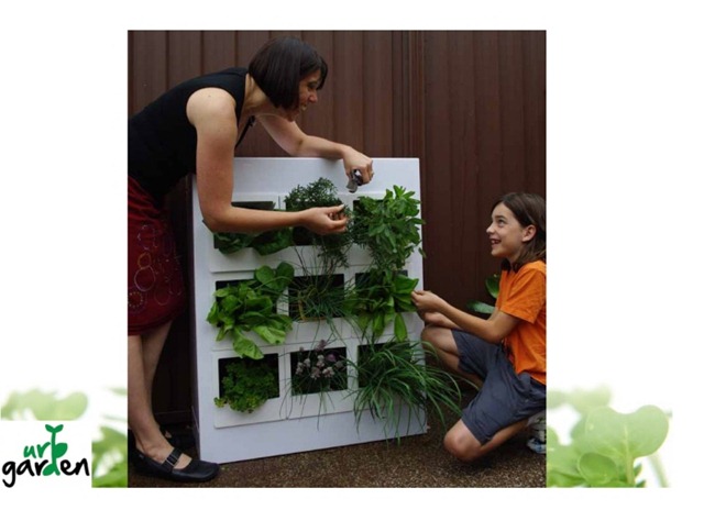 [urb-garden[4].jpg]