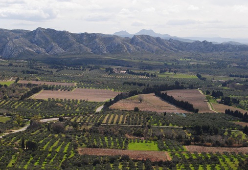 DSC_0442