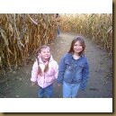 corn maze 2