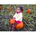 [lilpumpkin3[4].jpg]