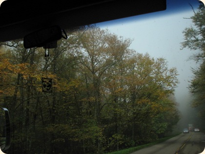 Drive through Smoky Mtn NP 018