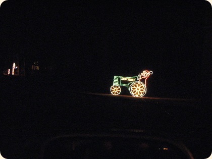 Lighted Christmas Drive 040