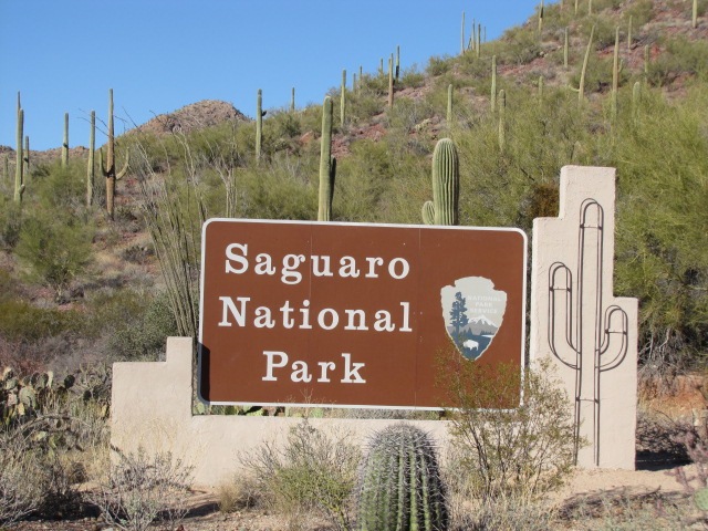 [Saguaro National Park 019[3].jpg]