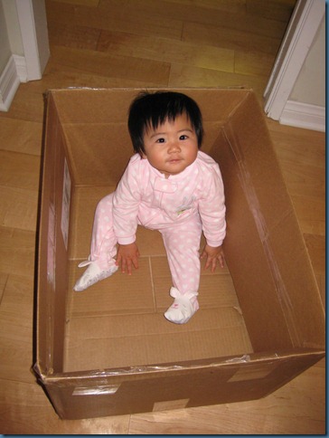 wk47_stacy_box