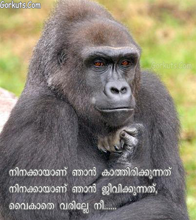 masala malayalam