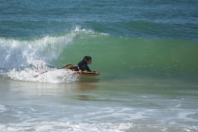 [DSC05649[3].jpg]