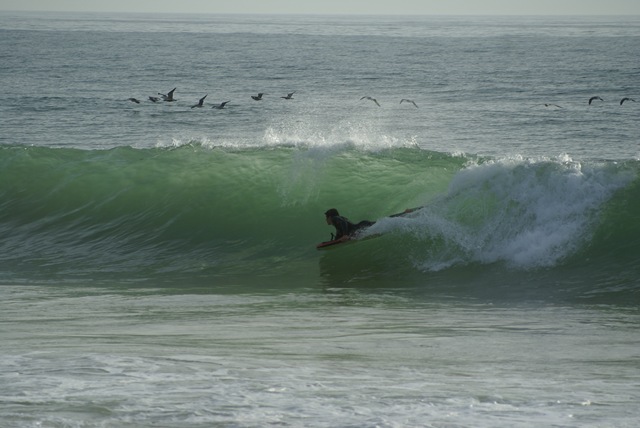 [DSC06284[3].jpg]