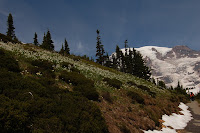DSC_0810.JPG
