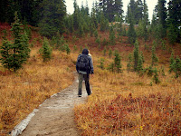 PA17236759.jpg