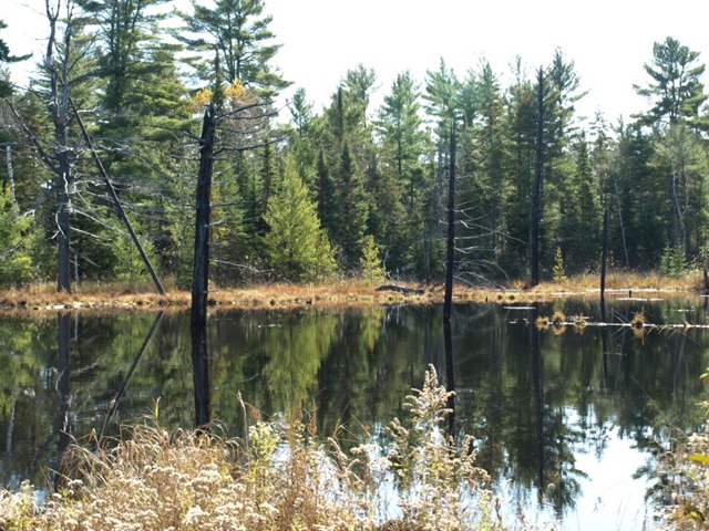 [PA250826_StillRiver_10252009_130708[4].jpg]