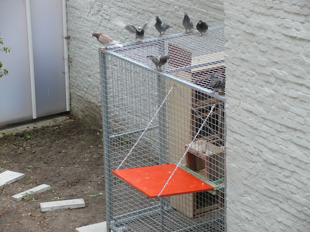 Klik op de afbeelding om de link te volgen