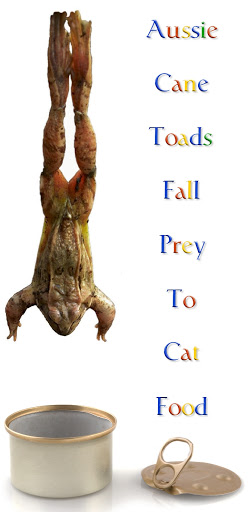 Cane Toad