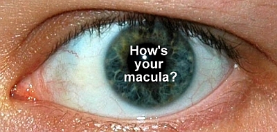 Click to visit the Macular Degeneration Foundation of Australia to find out more on AMD Click to visit the Macular Degeneration Foundation of Australia to find out more on AMD