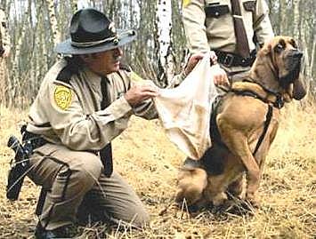 Sniff test failure Sniff test failure