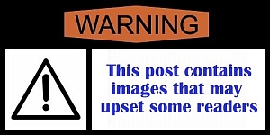 Reader notice