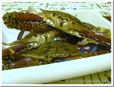 ALIMASAG© BUSOG! SARAP! 2010