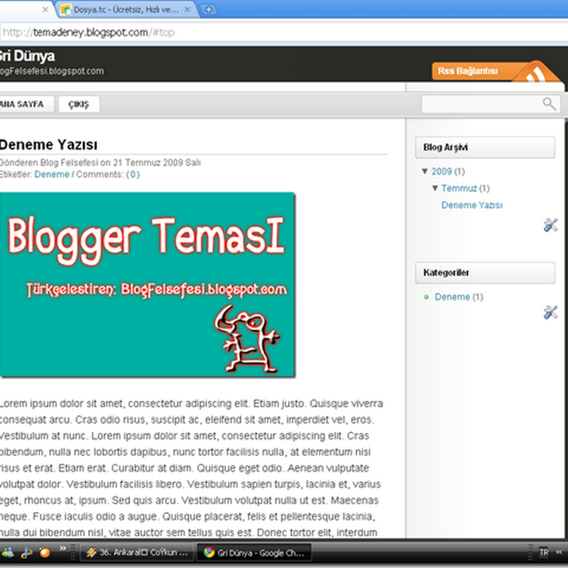 Gri Dünya Türkçe Blogger Teması