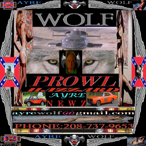 [a wolf prowl header[2].jpg]