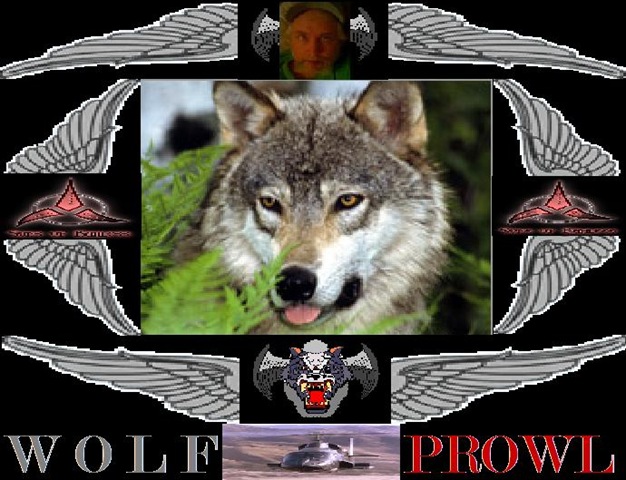 [WOLF PROWL HEADER[4].jpg]