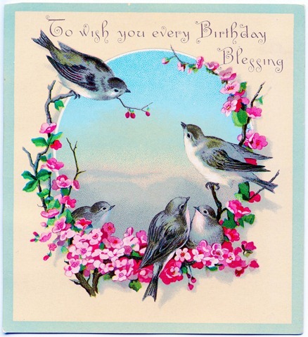 1birthdaybirds-graphicsfairy012