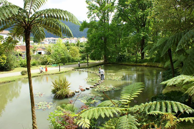O lago dos nenúfares