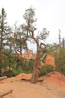 BryceCanyonNP_20100818_0313.JPG Photo