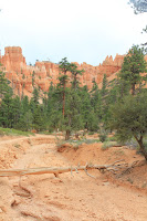 BryceCanyonNP_20100818_0316.JPG Photo