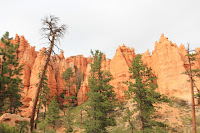 BryceCanyonNP_20100818_0324.JPG Photo