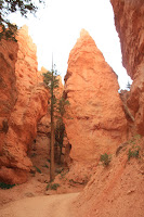 BryceCanyonNP_20100818_0329.JPG Photo