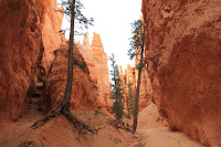 BryceCanyonNP_20100818_0333.JPG Photo
