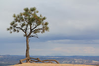 BryceCanyonNP_20100818_0359.JPG Photo
